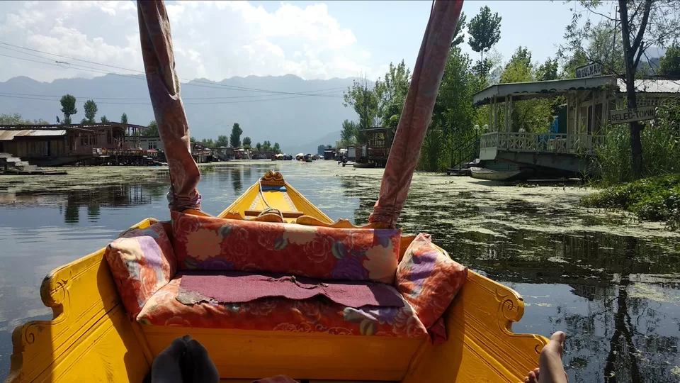 Photo of Dal Lake, Srinagar by Mahesh Maddala