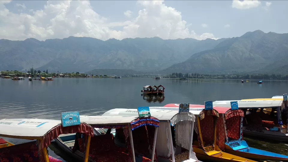 Photo of Dal Lake, Srinagar by Mahesh Maddala