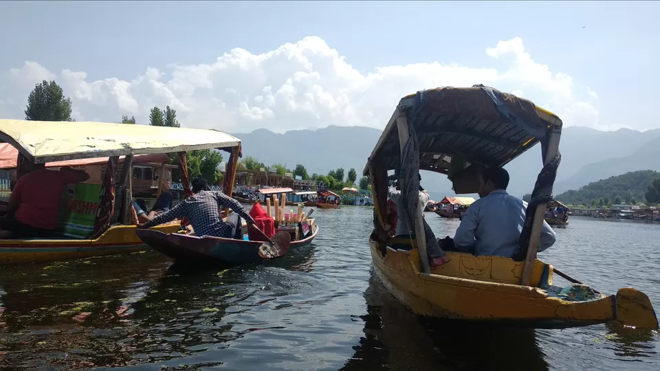 Photo of Dal Lake, Srinagar by Mahesh Maddala