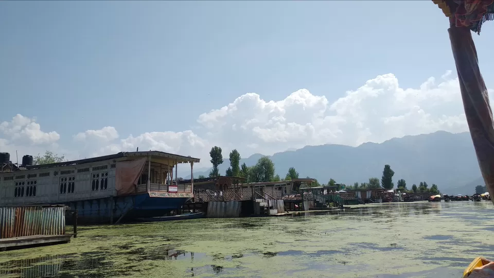 Photo of Dal Lake, Srinagar by Mahesh Maddala