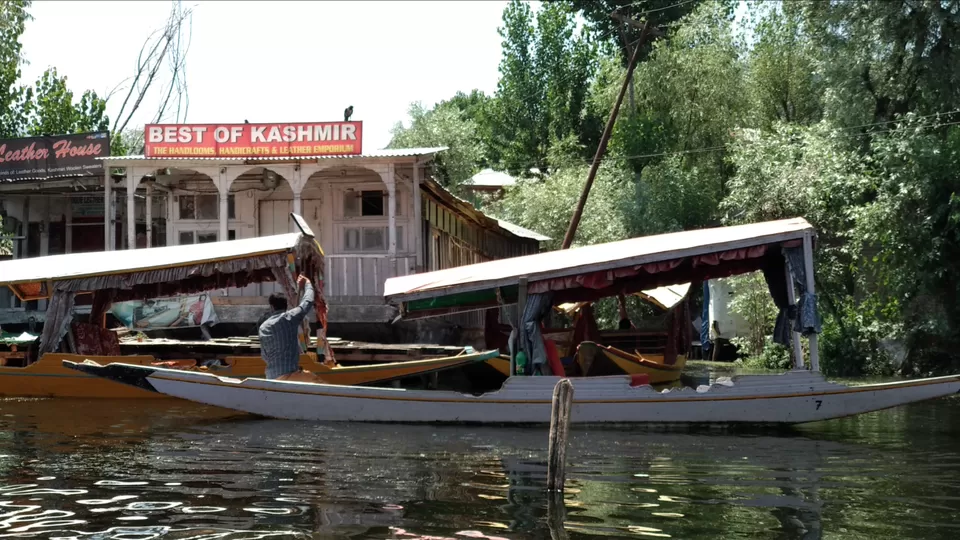Photo of Dal Lake, Srinagar by Mahesh Maddala