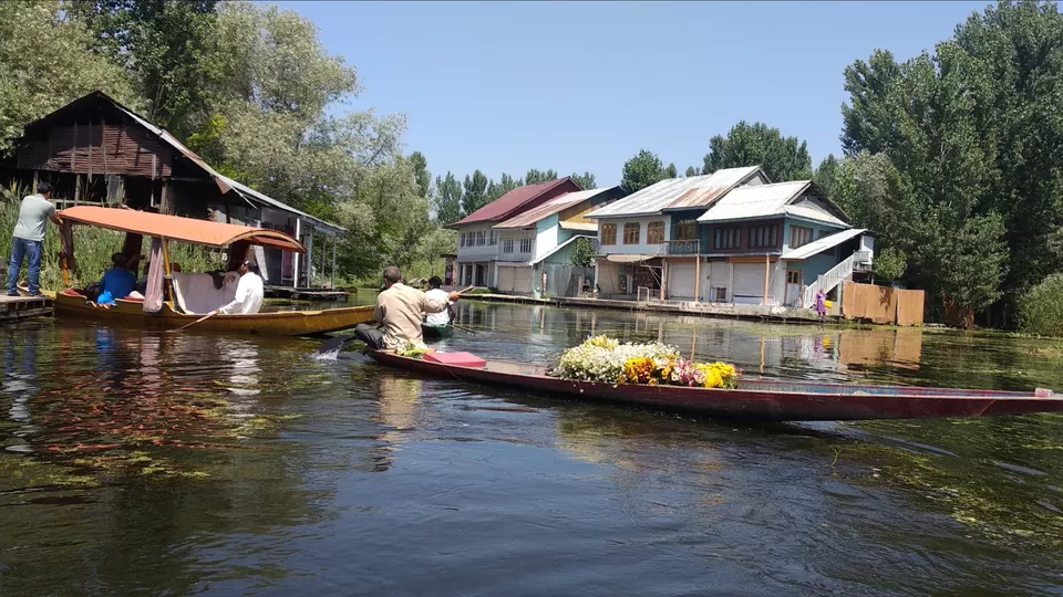 Photo of Dal Lake, Srinagar by Mahesh Maddala
