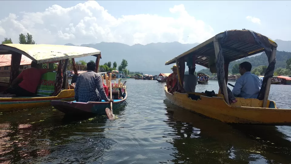 Photo of Dal Lake, Srinagar by Mahesh Maddala