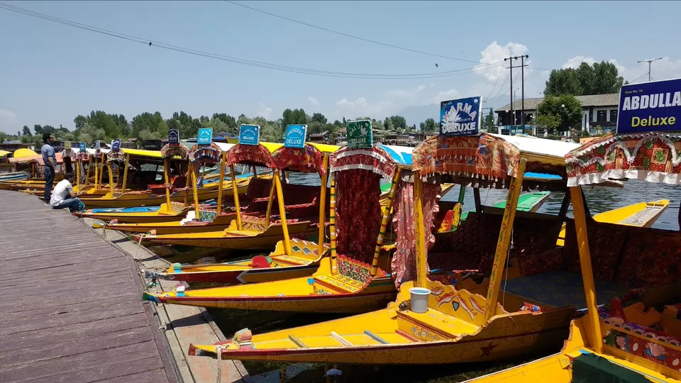 Photo of Dal Lake, Srinagar by Mahesh Maddala