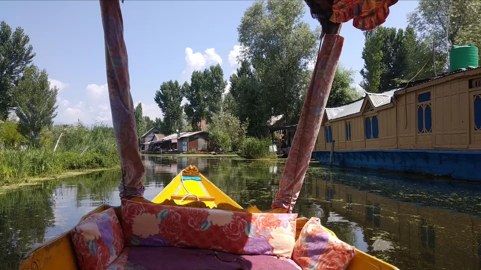 Photo of Dal Lake, Srinagar by Mahesh Maddala