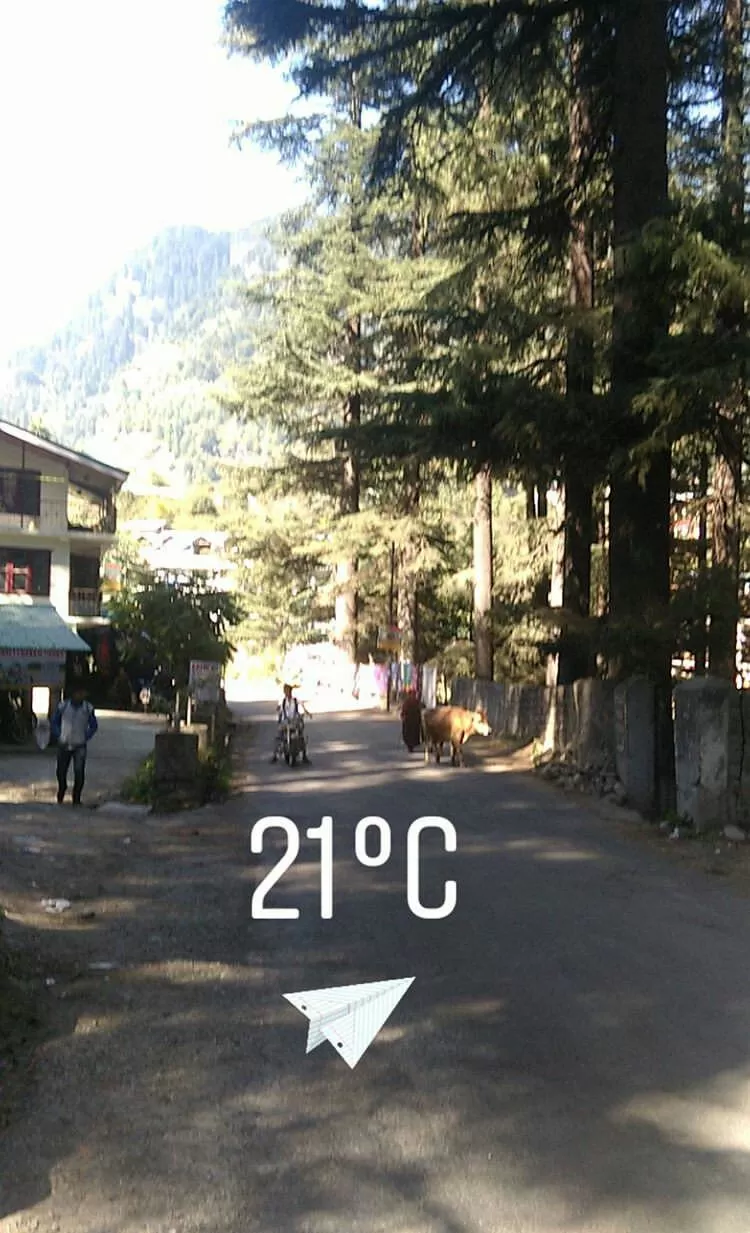 Photo of This is how I (As An Introvert) did my FIRST SOLO TRIP EVER to the Mountains #lifechangingtrip by Mahesh Maddala