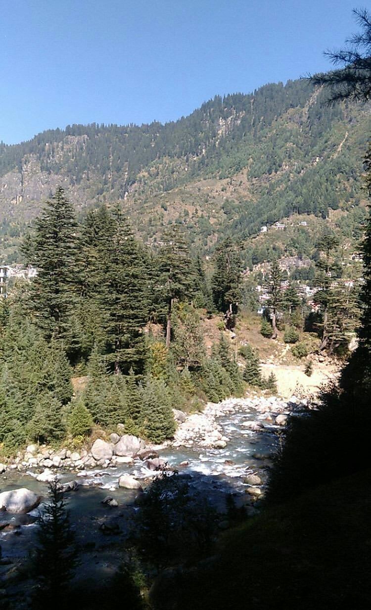 Photo of This is how I (As An Introvert) did my FIRST SOLO TRIP EVER to the Mountains #lifechangingtrip by Mahesh Maddala