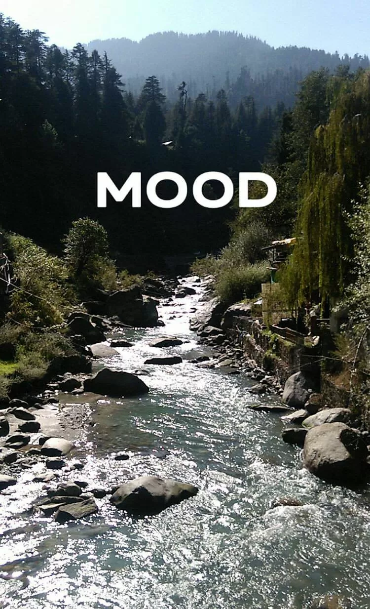 Photo of This is how I (As An Introvert) did my FIRST SOLO TRIP EVER to the Mountains #lifechangingtrip by Mahesh Maddala