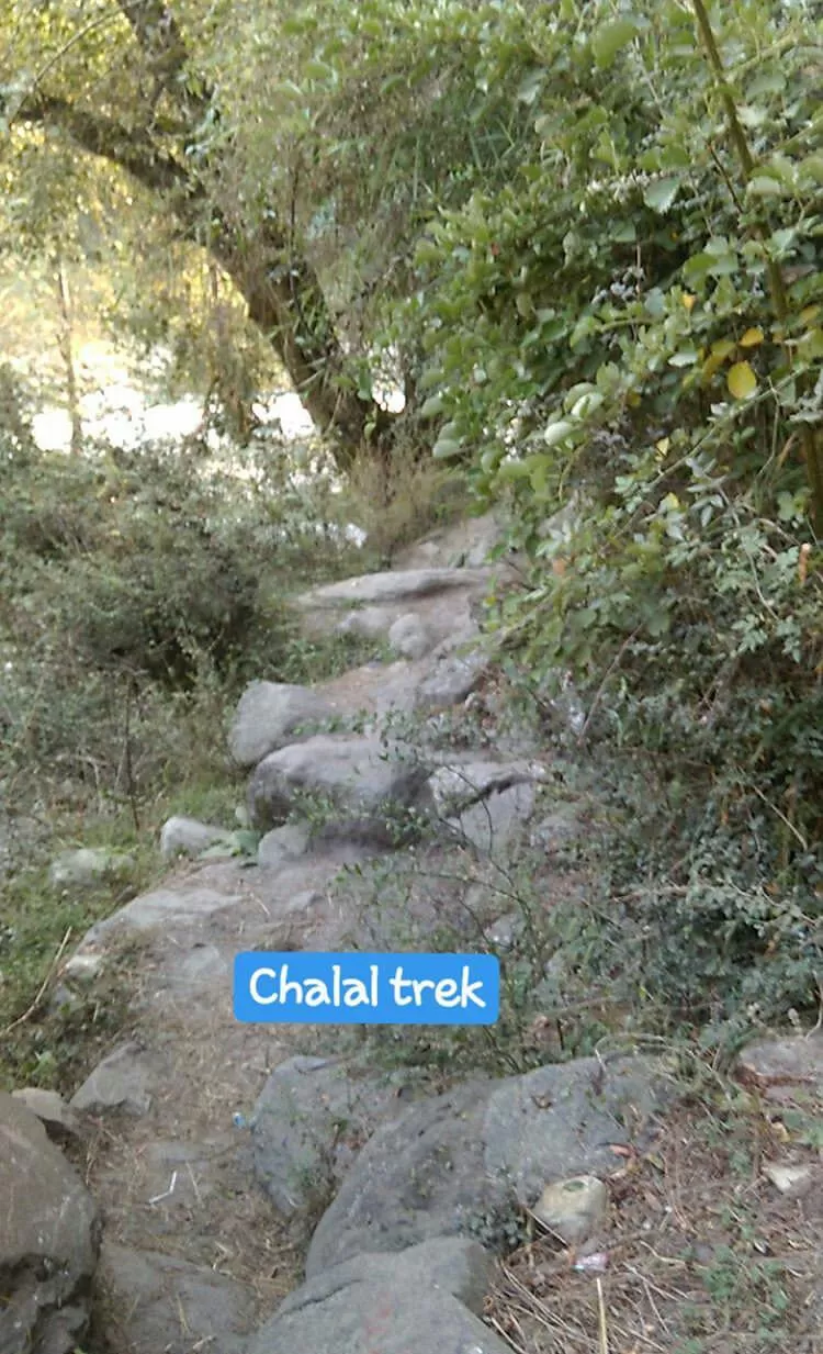 Photo of Chalal Trek Trail, Kullu, Himachal Pradesh, India by Mahesh Maddala