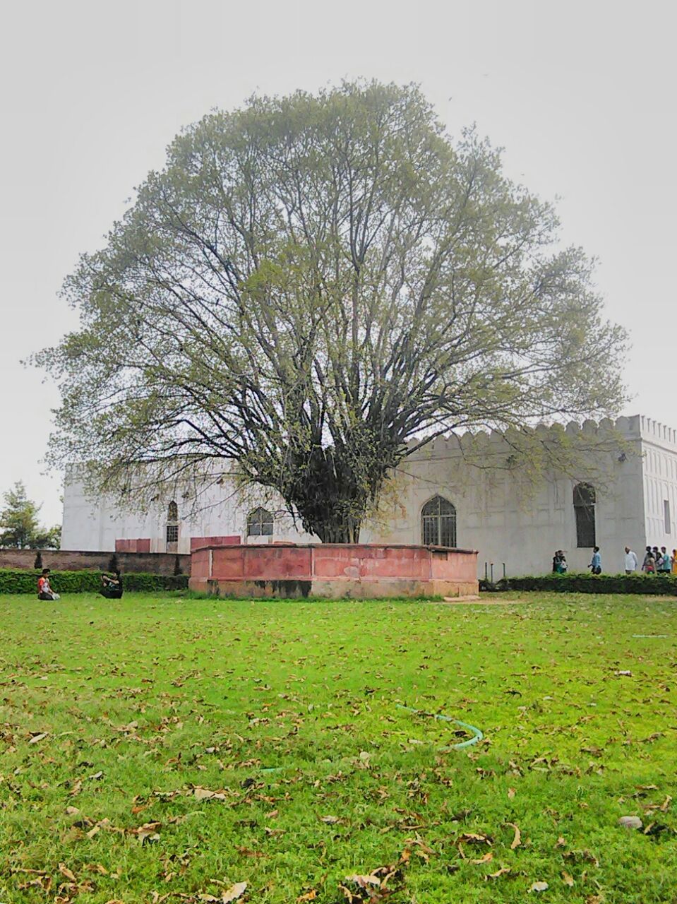 Photo of Delhi- More than Just Monuments- Part 1 18/18 by Santosh Tripathi