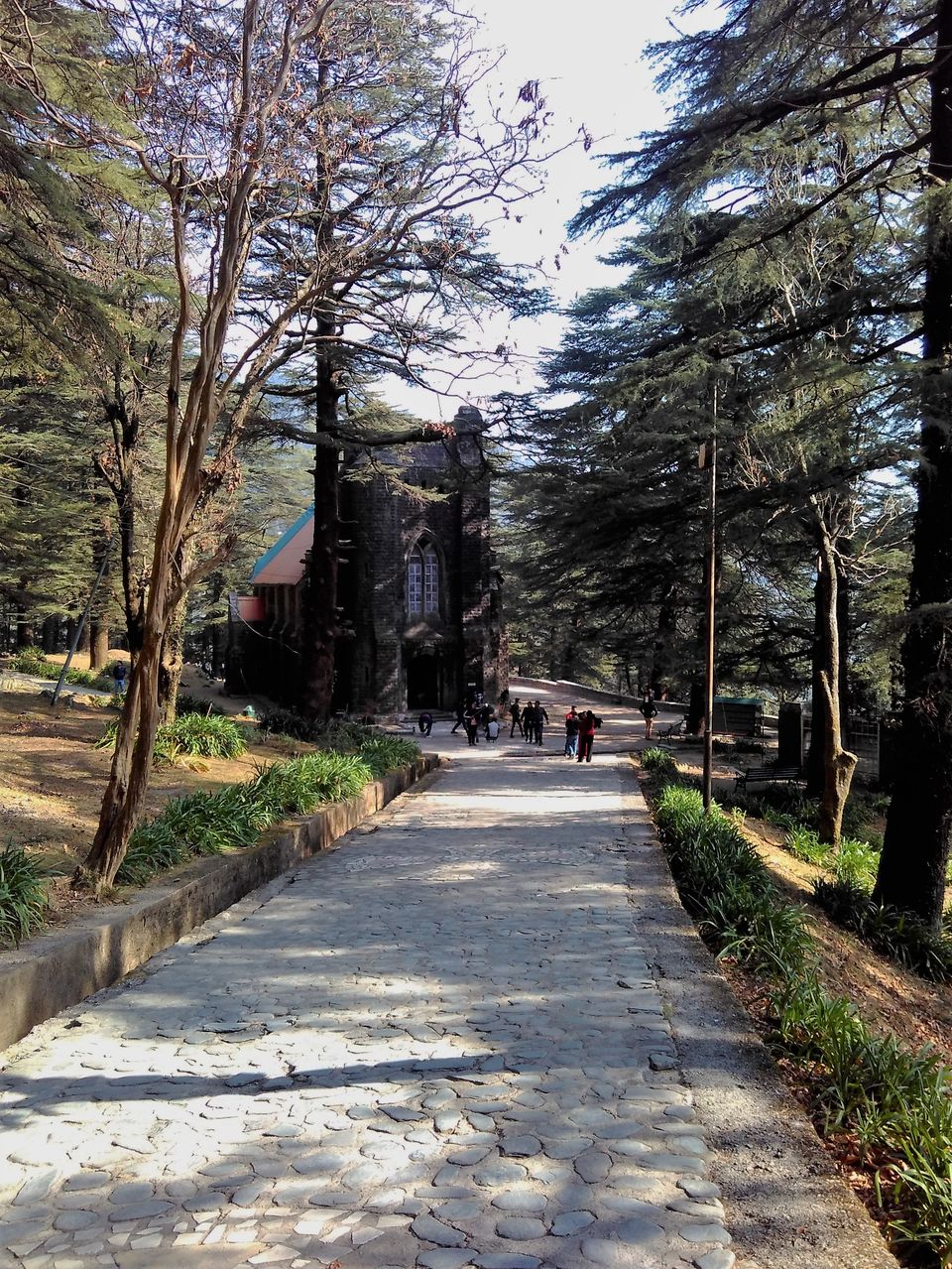 Photo of Dharamshala: Backpacking is Bliss 31/35 by Santosh Tripathi