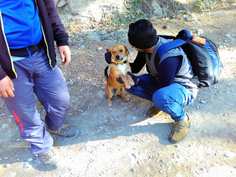Photo of Dharamshala: Backpacking is Bliss by Santosh Tripathi