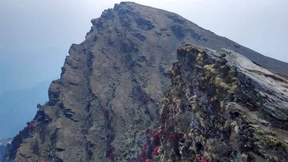 Photo of Tunganath, Chopta, Uttarakhand: In Quest of Relief by Santosh Tripathi