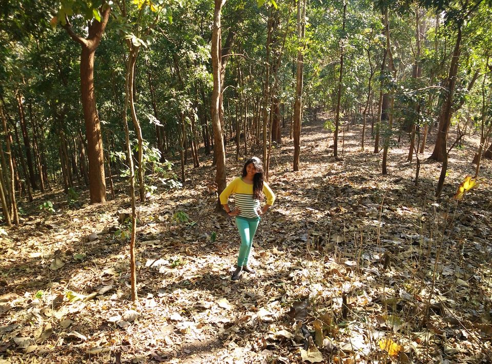 Photo of Dandeli, Karnataka, India by Praneetha