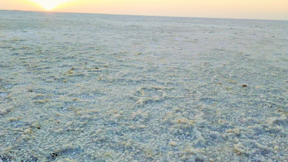 Photo of Rann of Kutch, Kutch, Gujarat, India by Pruthvi Hullatti