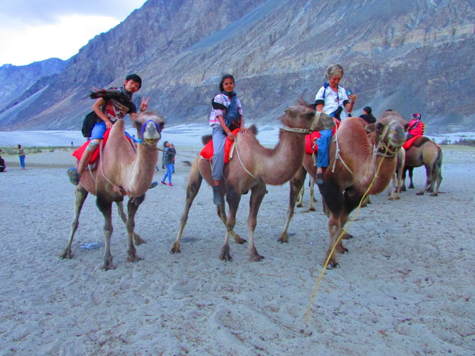 Photo of #SwipeRightToTravel - Nubra Valley 4/23 by Praneet Kaur