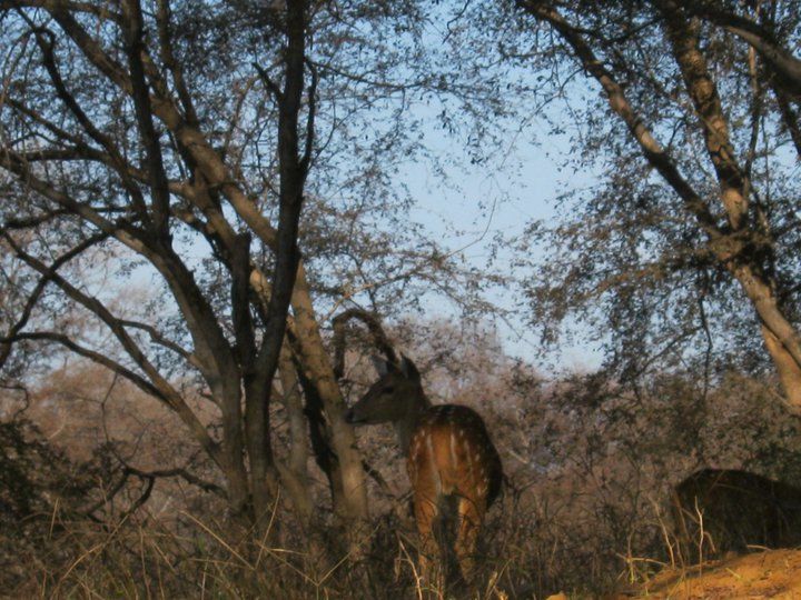 Photo of My First Rajasthan Trip by Ravi