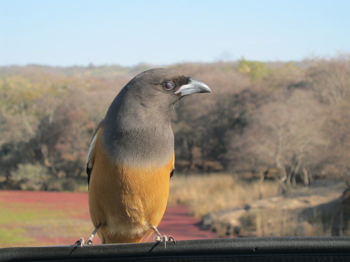 Photo of My First Rajasthan Trip by Ravi