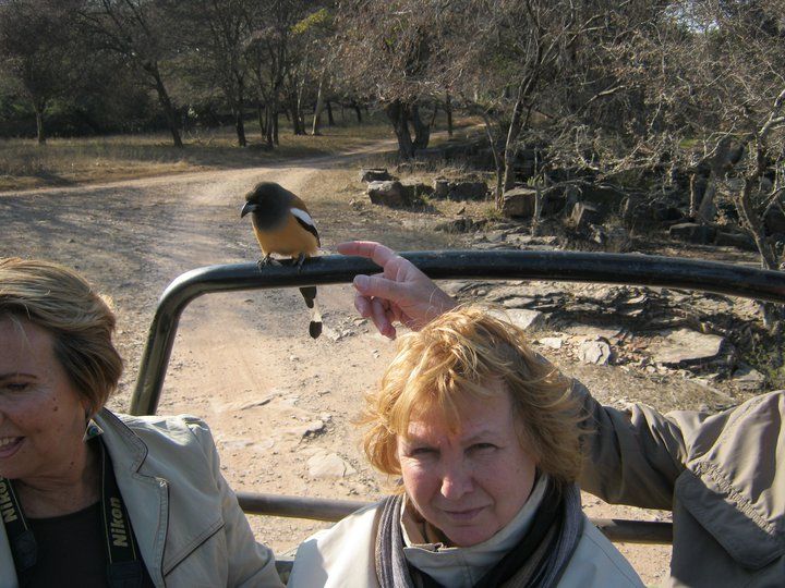 Photo of My First Rajasthan Trip by Ravi