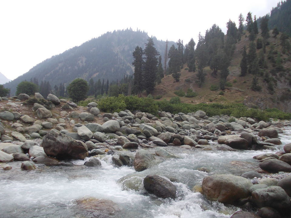 Photo of Neelum Valley by Tasleem Farooq