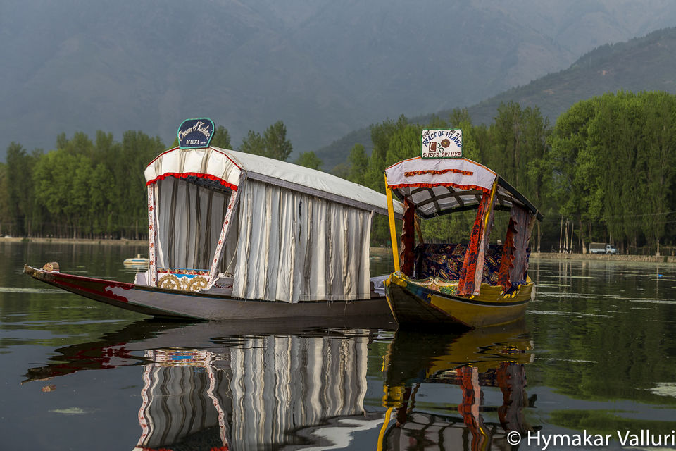 Photo of Vivanta by Taj - Dal View Srinagar, Srinagar by Hymakar