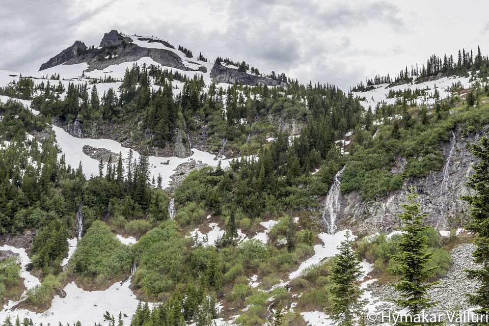 Photo of Mount Rainier, Pierce County, WA, United States by Hymakar