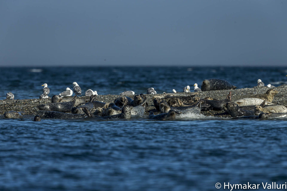 Photo of Port Townsend, WA, United States by Hymakar