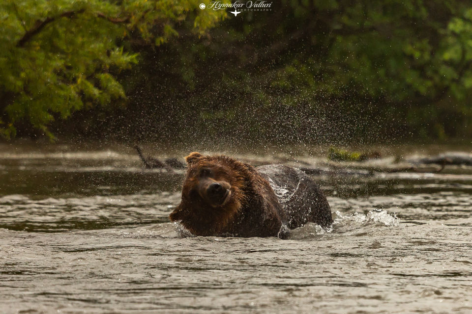 Photo of Kurile Lake, Kamchatka Krai, Russia by Hymakar