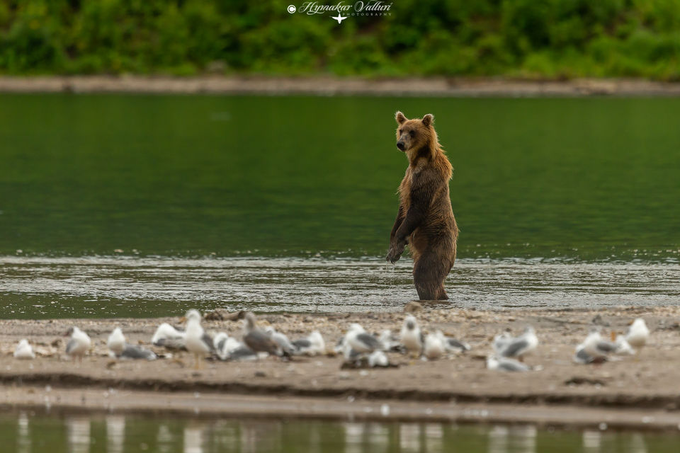Photo of Kurile Lake, Kamchatka Krai, Russia by Hymakar