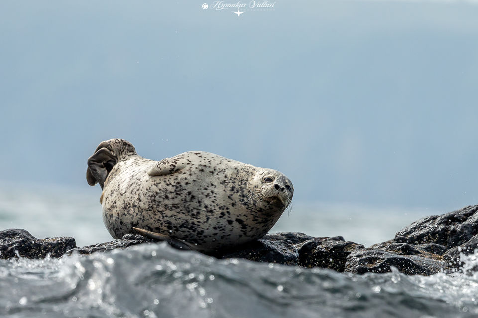 Photo of Bering Sea by Hymakar