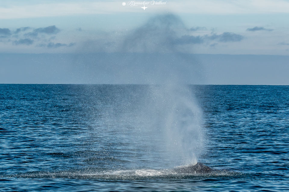 Photo of Bering Sea by Hymakar
