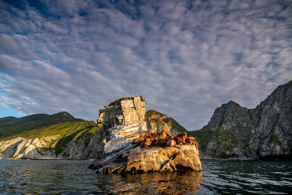 Photo of Bering Sea by Hymakar