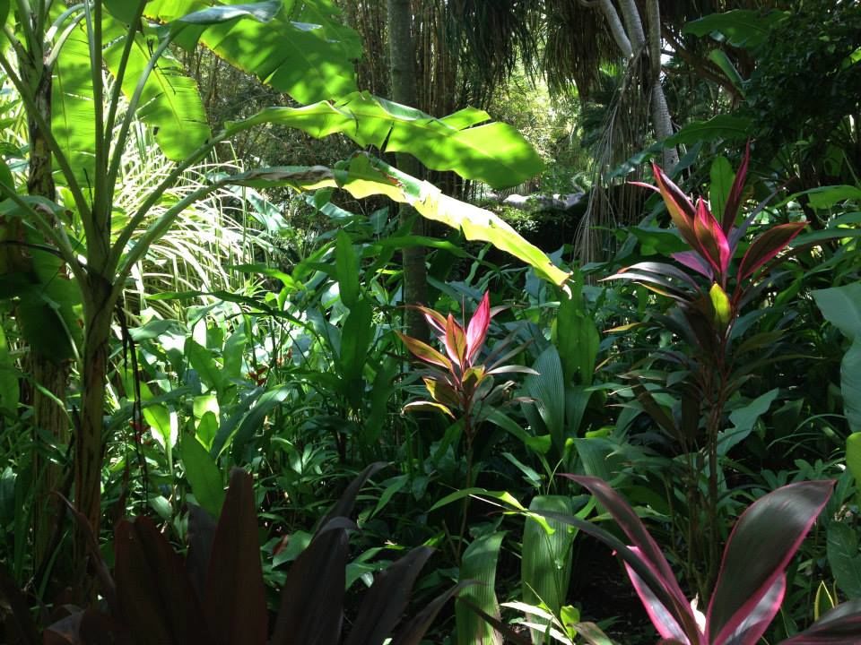 Photo of Costa Rica Is Putting Nature First And Paving The Way For A Greener Planet by Caitlin Graaf