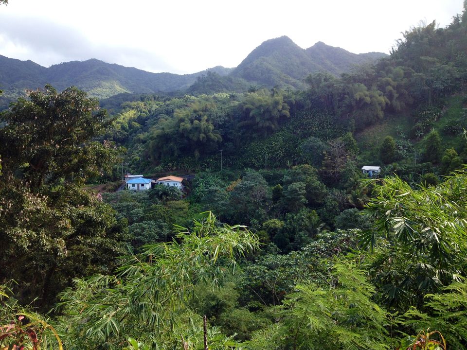 Photo of Far Away From The Tourist Frenzy, This Hidden Island Paradise Should Be Your Happy Place This Summer by Caitlin Graaf