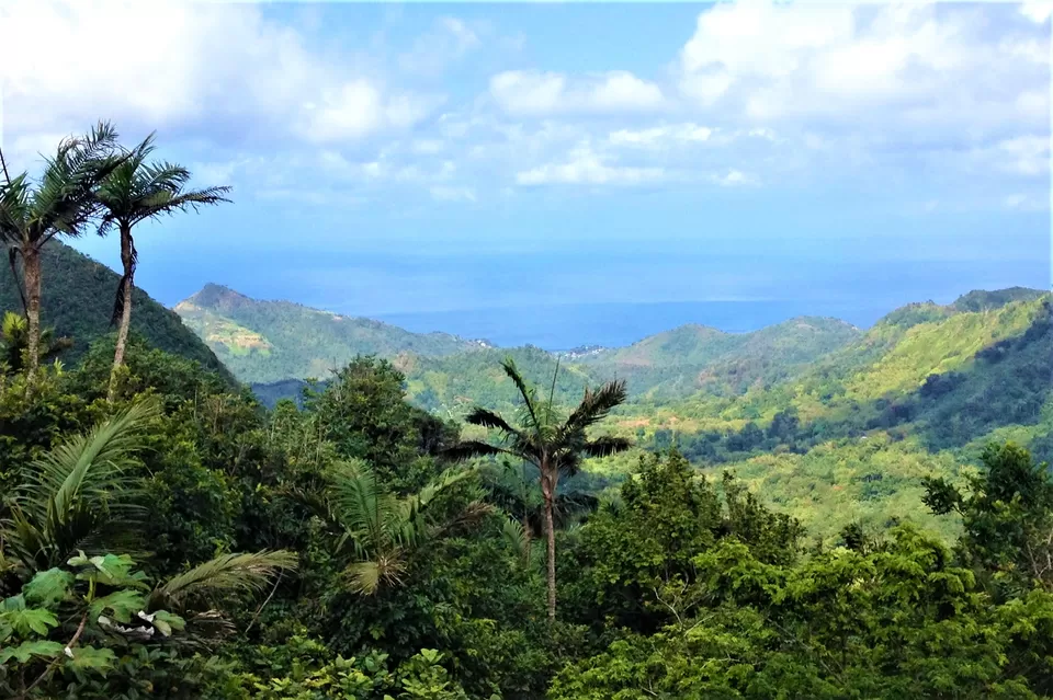 Photo of Grand Etang Lake, Saint Andrew, Grenada by Caitlin Graaf
