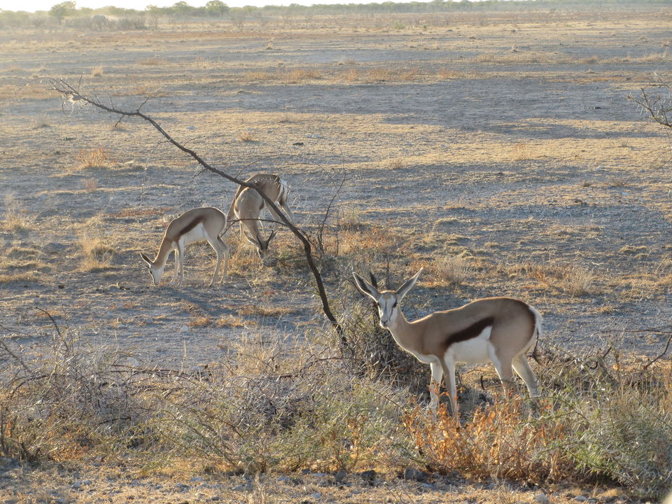 Photo of This Wildlife Adventure Through The Heart Of Africa Should Be On Your Bucket List 1/2 by Caitlin Graaf
