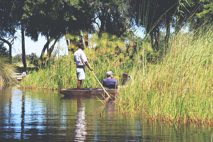 Photo of 5 Outstanding Safari Experiences In Northern Botswana 2/2 by Caitlin Graaf