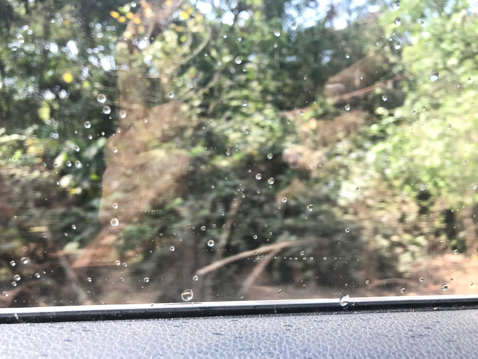 Photo of Unplanned Road Trip To Goa !!! by Ankur Singh