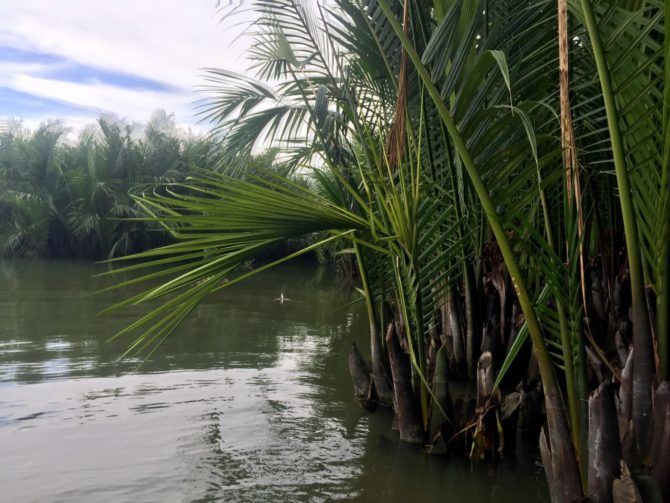 Photo of Fishing and Basket Boat Eco-tour in Hoi An | Vietnam | Can Travel Will Travel 6/21 by Tanya.Korteling