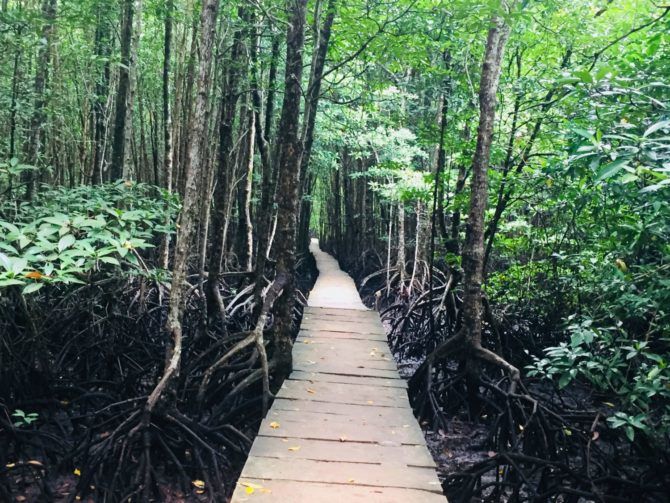 Photo of Koh Kong | Off the Beaten Track Cambodia | Can Travel Will Travel 7/11 by Tanya.Korteling
