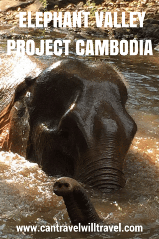 Photo of Elephant Valley Project Mondulkiri - An Ethical Elephant Sanctuary | Cambodia | Can Travel Will Trav 10/10 by Tanya.Korteling