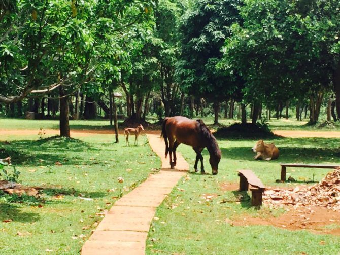 Photo of Mondulkiri and Sen Monorom | Off the Beaten Track Cambodia | Can Travel Will Travel 9/11 by Tanya.Korteling