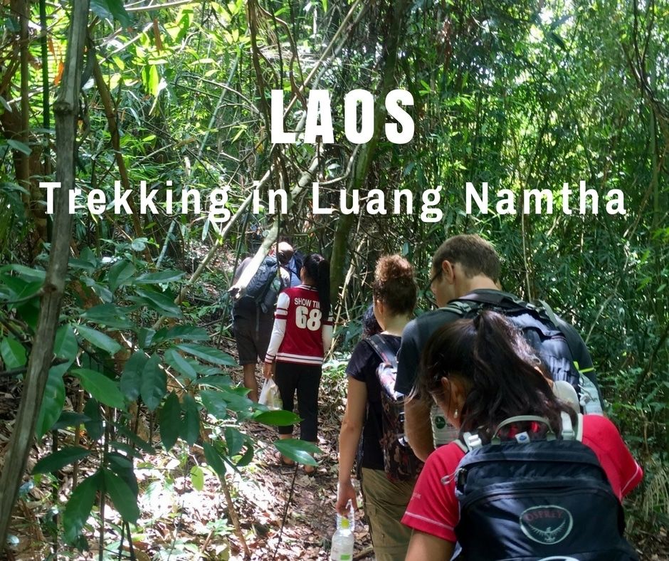 Photo of Trekking in Luang Namtha | Laos | Can Travel Will Travel 1/8 by Tanya.Korteling