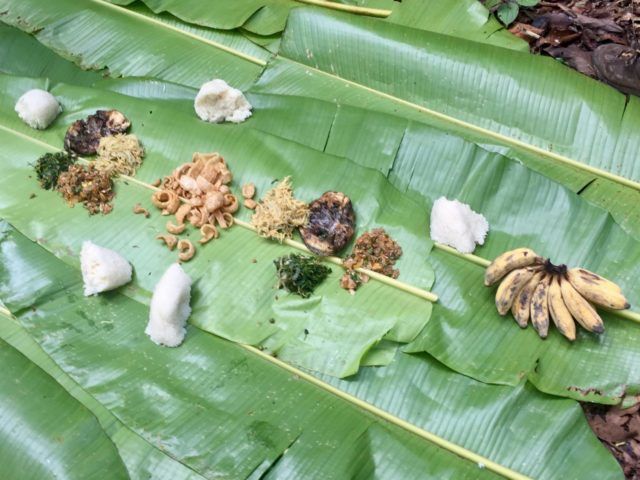 Photo of Trekking in Luang Namtha | Laos | Can Travel Will Travel 4/8 by Tanya.Korteling