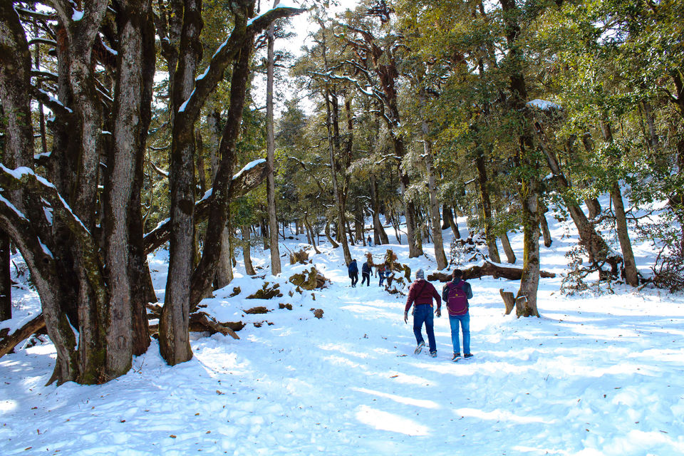 Photo of Getting in touch with Auli- First snow trekking and more by Adarsh Presannakumar