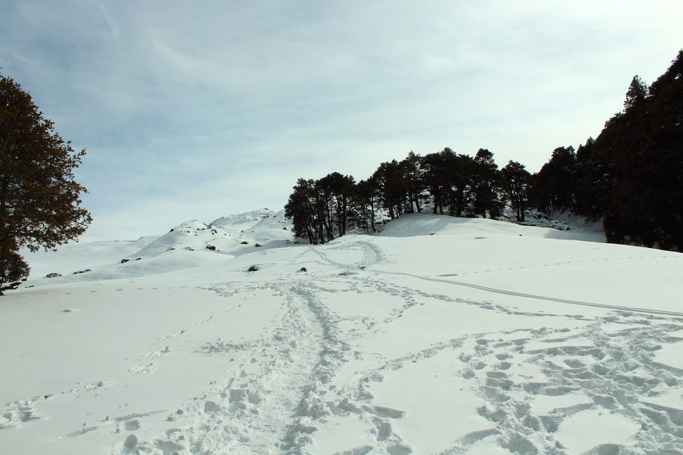 Photo of Getting in touch with Auli- First snow trekking and more by Adarsh Presannakumar
