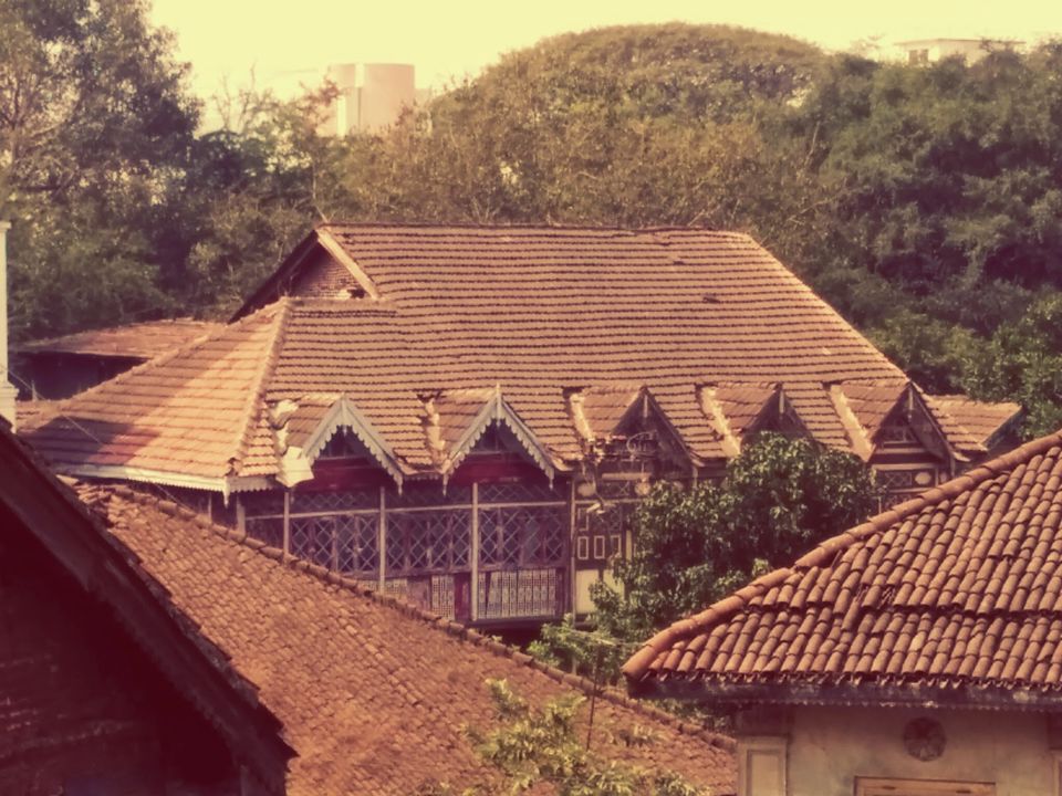 Photo of A Trip Down Memory Lane 2/12 by Anu