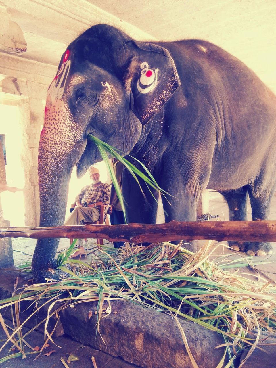 Photo of HAMPI : A Time Traveller's Delight 27/69 by Anu