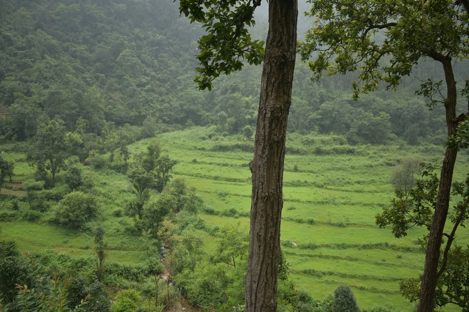 Photo of Lansdowne, Uttarakhand, India by Shatabdi Chakraborty