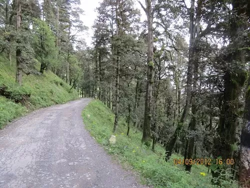 Photo of Jalori Pass, Jalori, Sajwar, Himachal Pradesh, India by Ankit Sood